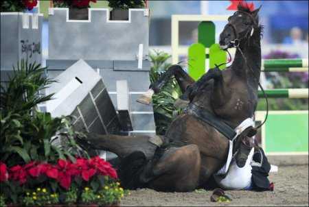 Фото падения лошади и всадника