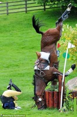 Фото падения лошади и всадника