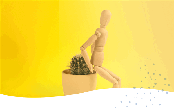 Вступление // одиночное фото