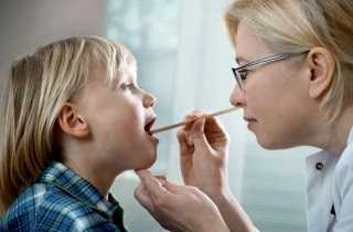 Отличие гланд от миндалин