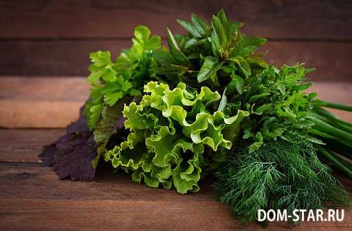 петрушка укроп зеленый лук шпинат