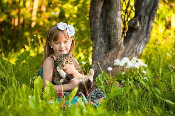 Чем укусы опасны для здоровья?