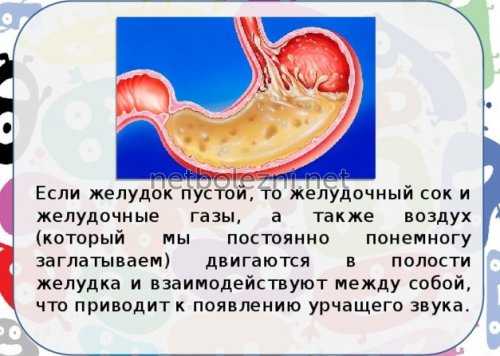 Причины урчащего звука