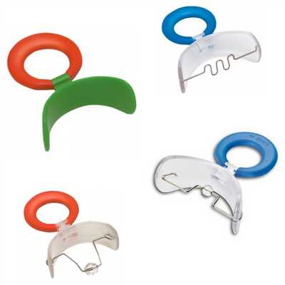 Вестибулярные пластинки