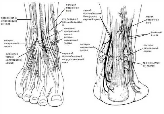 артроскрпические порты голеностопный сустав