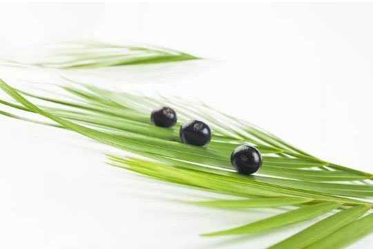 состав Blondifier