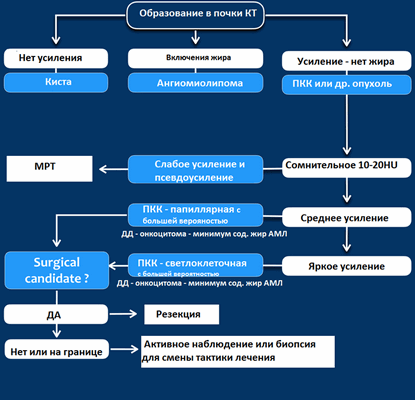 a575c0d8c09e5d_24-TAB-ct2