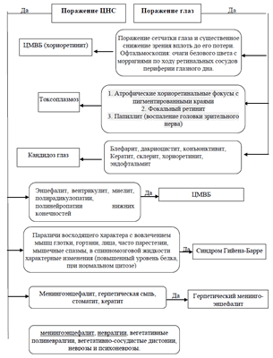 Алгоритм дифференциальной диагностики при цитомегаловирусной болезни