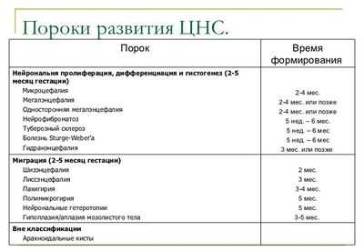 Пороки развития ЦНС