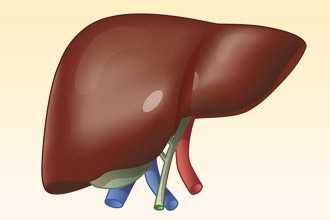 Типы диффузных изменений