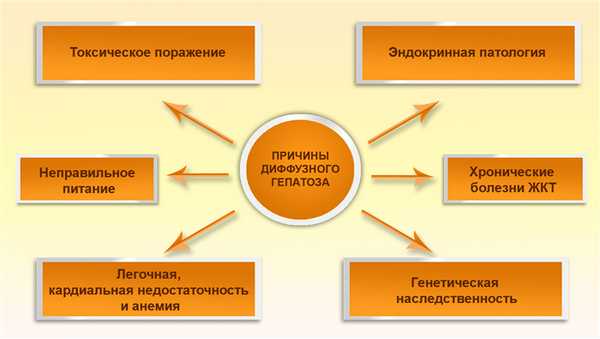 Причины диффузного гепатоза 