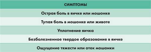 Диагностика опухоли яичка