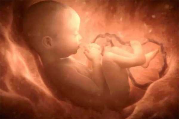 проблемы с пуповиной плода