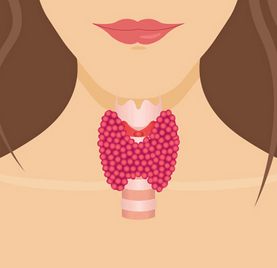 УЗИ щитовидной железы