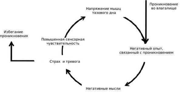 Цикл страха и напряжения мышц при вагинизме