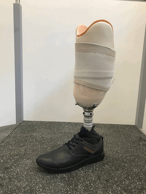 тренировочный протез бедра