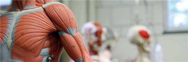 Воспалительные миопатии