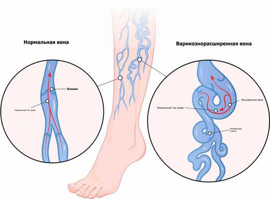 картинка 1.jpg