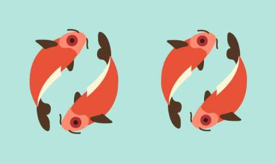 Союз двух Рыб принесет немало ярких ощущений обоим