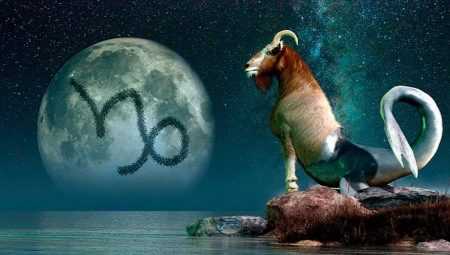 Совместимость Козерога с другим представителем такого знака и перспектива семейного союза