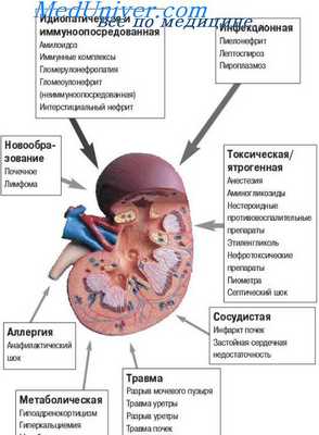 исследование почечной недостаточности