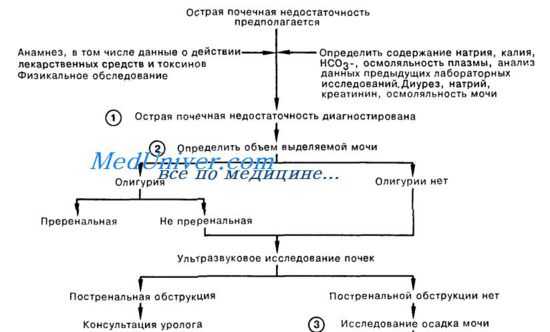 Лечение (неотложная помощь) острой почечной недостаточности (ОПН)