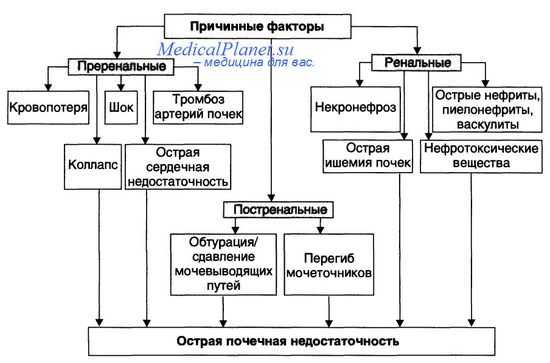 Причины почечной недостаточности