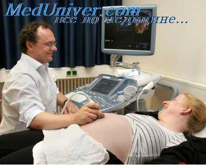 эхокардиография плода