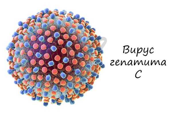 Вирус гепатита C