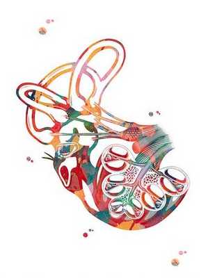 КТ внутренненго уха