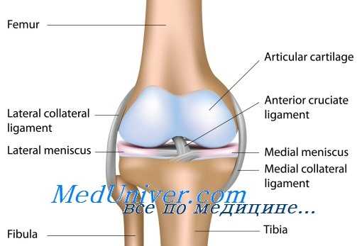 вывих надколенника