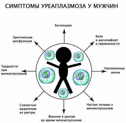 Симптомы уреаплазмоза у мужчин.jpg