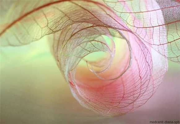 зеленые выделения