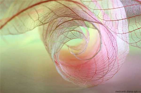 Зеленые выделения из влагалища? Срочно к гинекологу!