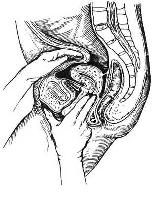 Диагностика беременности
