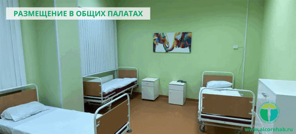 Как влияет алкоголь на мозг?