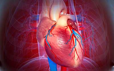 Сердечно-сосудистые заболевания - Угодие
