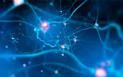 Лекарство вредит работе нервной системы - Веримед