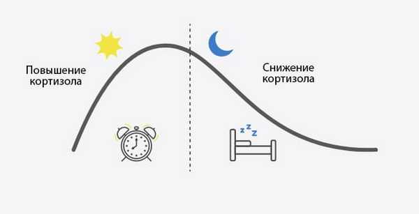 суточные ритмы кортизола
