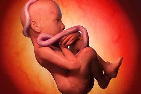 Общие положения - Клиника ЛОРДМЕД