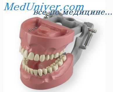 перестройка ткани пародонта