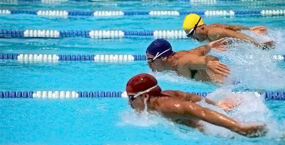 Спортивное плавание в бассейне