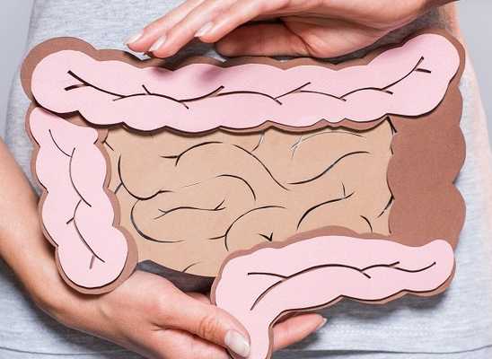 Как грамотно восстановить микрофлору кишечника