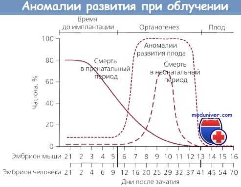 Аномалии развития при облучении