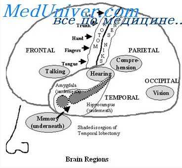 ритмические колебания при эпилепсии