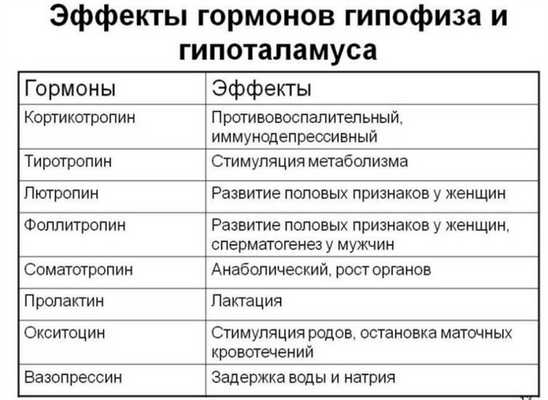 анализ гормонов гипофиза