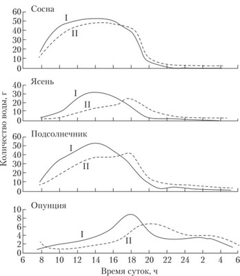 Изменение интенсивности транспирации (I) и скорости поступления воды в корень (II) в течение жаркого летнего дня у некоторых растений