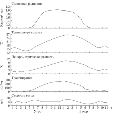 Изменение интенсивности транспирации и влияющих на нее температуры, солнечной радиации, влажности воздуха, скорости ветра в течение суток