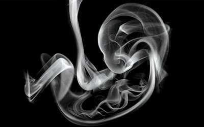 Никотин и плод - Веримед