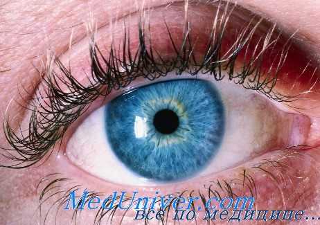 влияние тетраэтилсвинца на внутриглазное давление